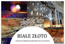 Muzealna Akademia Historyczna: Opowieść o soli