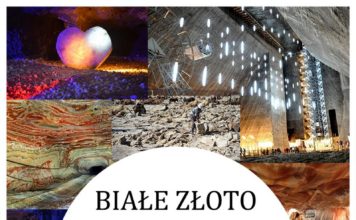 Muzealna Akademia Historyczna: Opowieść o soli