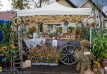 Biesiada w Siedlcu: Konkurs kulinarny i gotowanie na wielkiej patelni – ZDJĘCIA