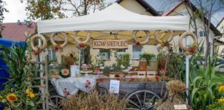 Biesiada w Siedlcu: Konkurs kulinarny i gotowanie na wielkiej patelni – ZDJĘCIA