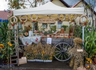 Biesiada w Siedlcu: Konkurs kulinarny i gotowanie na wielkiej patelni – ZDJĘCIA