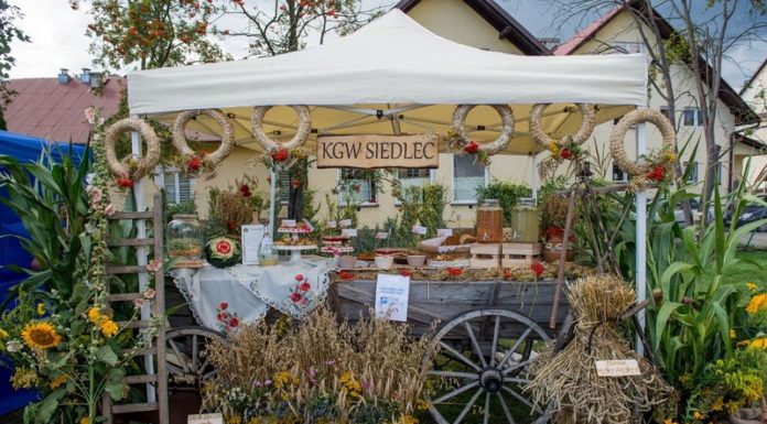 Biesiada w Siedlcu: Konkurs kulinarny i gotowanie na wielkiej patelni – ZDJĘCIA