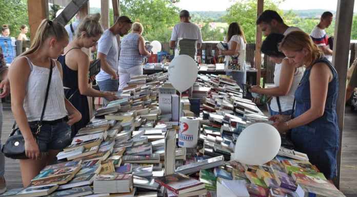 Kiermasz dla małej Lilki. Sprzedano ok. tysiąc książek! – ZDJĘCIA