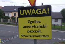 Groźna choroba pszczół dotarła na Bocheńszczyznę. Pszczele rodziny spalono