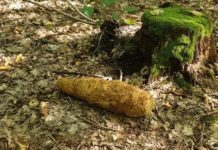 Brzesko. Grzybiarz znalazł niewybuch z II wojny światowej