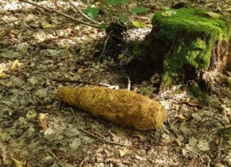 Brzesko. Grzybiarz znalazł niewybuch z II wojny światowej