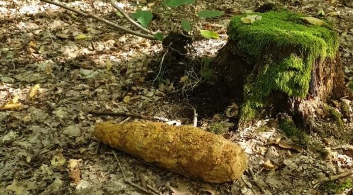 Brzesko. Grzybiarz znalazł niewybuch z II wojny światowej