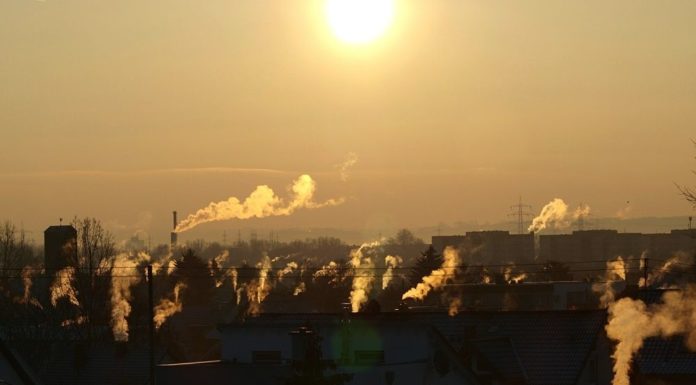 Liście, kable, guma, plastik. W Małopolsce codziennie płoną śmieci