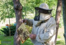 Bochnia. Dzień otwarty pasieki Bartkowa Barć – ZDJĘCIA