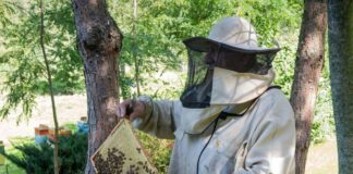 Bochnia. Dzień otwarty pasieki Bartkowa Barć – ZDJĘCIA