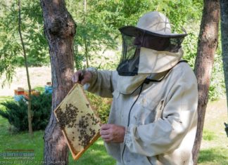 Bochnia. Dzień otwarty pasieki Bartkowa Barć – ZDJĘCIA
