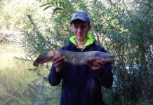 Zawody spinningowe „Drapieżnik Raby”. Brały głównie okonie i klenie