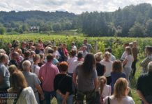 Podsumowanie „Weekendu z Zabytkami”: 7,5 tys. turystów, hitem winnica w Łazach