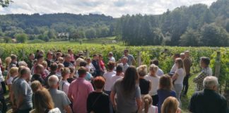 Podsumowanie „Weekendu z Zabytkami”: 7,5 tys. turystów, hitem winnica w Łazach