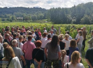 Podsumowanie „Weekendu z Zabytkami”: 7,5 tys. turystów, hitem winnica w Łazach