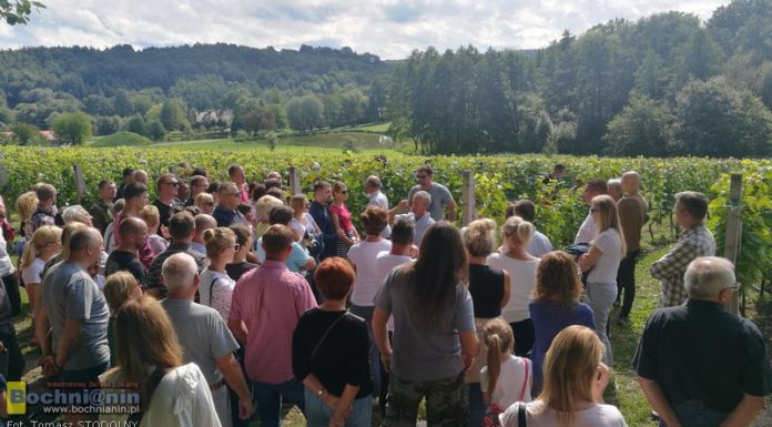 Podsumowanie „Weekendu z Zabytkami”: 7,5 tys. turystów, hitem winnica w Łazach