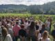 Podsumowanie „Weekendu z Zabytkami”: 7,5 tys. turystów, hitem winnica w Łazach