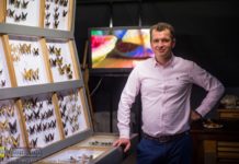 10-lecie Muzeum Motyli w Bochni. Magiczne miejsce odwiedziło 100 tys. osób – ZDJĘCIA