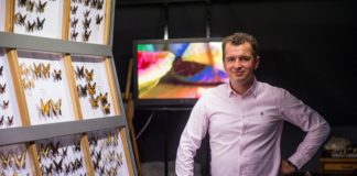 10-lecie Muzeum Motyli w Bochni. Magiczne miejsce odwiedziło 100 tys. osób – ZDJĘCIA