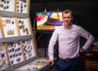10-lecie Muzeum Motyli w Bochni. Magiczne miejsce odwiedziło 100 tys. osób – ZDJĘCIA