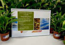 Piątek: Eko-akcja na osiedlach Niepodległości i Windakiewicza