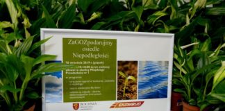 Piątek: Eko-akcja na osiedlach Niepodległości i Windakiewicza