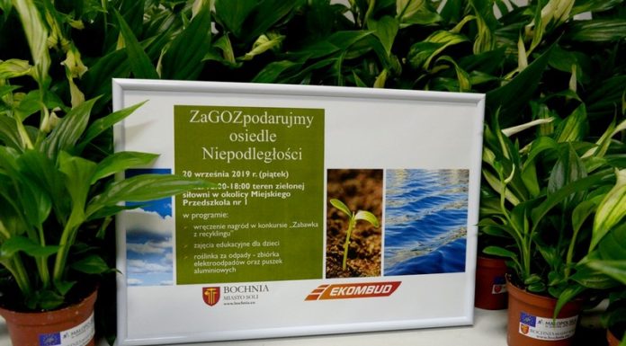 Piątek: Eko-akcja na osiedlach Niepodległości i Windakiewicza