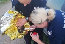 Szczeniak wrzucony do rzeki nie przeżył. Policja szuka sprawcy