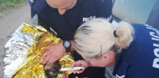 Szczeniak wrzucony do rzeki nie przeżył. Policja szuka sprawcy