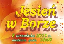 W niedzielę w Borównej: Jesień w Borze
