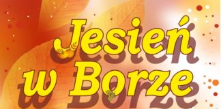 W niedzielę w Borównej: Jesień w Borze