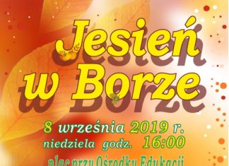 W niedzielę w Borównej: Jesień w Borze