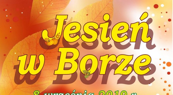 W niedzielę w Borównej: Jesień w Borze