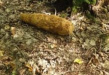 Dębno. Niewybuch znaleziony w ogródku