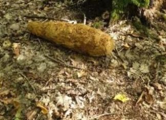 Dębno. Niewybuch znaleziony w ogródku