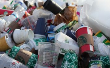 „Małopolska wolna od plastiku”. Sejmik przegłosował deklarację