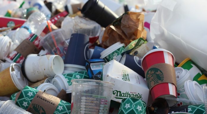 „Małopolska wolna od plastiku”. Sejmik przegłosował deklarację