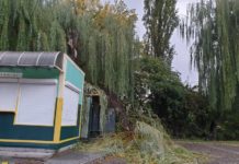 Bilans poniedziałkowej wichury. Strażacy z Bochni interweniowali 16 razy