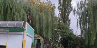 Bilans poniedziałkowej wichury. Strażacy z Bochni interweniowali 16 razy