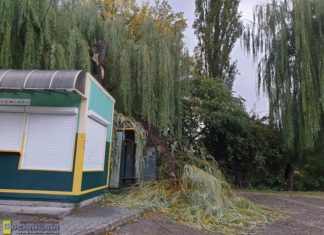 Bilans poniedziałkowej wichury. Strażacy z Bochni interweniowali 16 razy