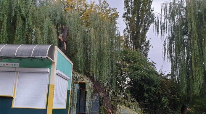 Bilans poniedziałkowej wichury. Strażacy z Bochni interweniowali 16 razy