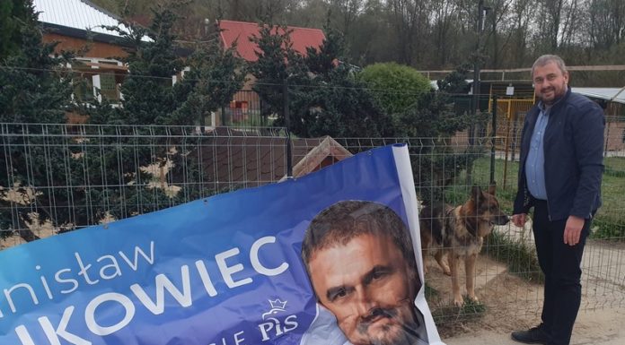 Bannery wyborcze Stanisława Bukowca trafiły do schroniska dla zwierząt
