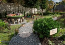 Bochnia. Ogród sensoryczny już gotowy! – ZDJĘCIA