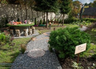 Bochnia. Ogród sensoryczny już gotowy! – ZDJĘCIA