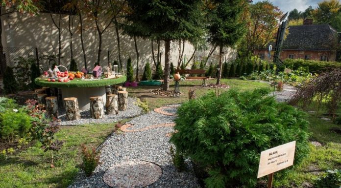 Bochnia. Ogród sensoryczny już gotowy! – ZDJĘCIA