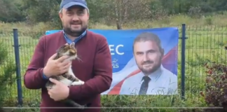 Kandydat zapowiada oddanie banerów wyborczych do schroniska dla zwierząt