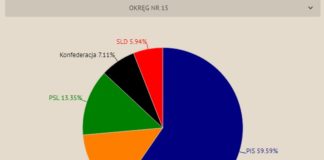 Wybory do Sejmu. Kto zdobył mandat w okręgu nr 15? – INFOGRAFIKA