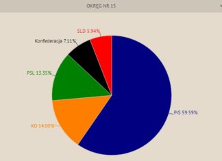 Wybory do Sejmu. Kto zdobył mandat w okręgu nr 15? – INFOGRAFIKA