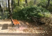 Bochnia. „Afrykańskie orgie” na torze saneczkowym przy placu Turka – WIDEO