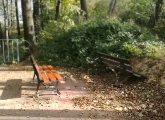 Bochnia. „Afrykańskie orgie” na torze saneczkowym przy placu Turka – WIDEO